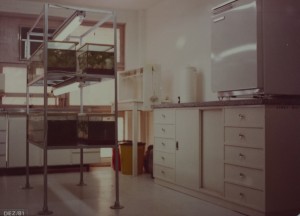 1981 MIP LABORATORIO DE ESQUISTOSSOMOSE