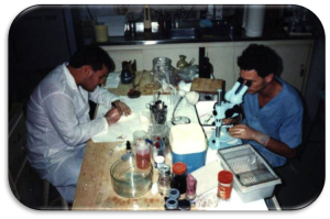 MIP, 1987 - Lab. Protozoologia