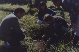 1987 Sao Francisco do Sul - Coleta de Biomphalaria spp.