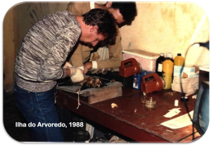 MIP, 1988 - Lab. Protozoologia, Ilha do Arvoredo