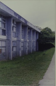 1996 MIP