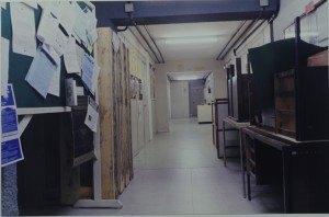 1996 MIP