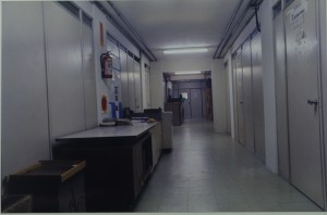 1996 MIP