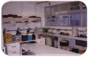 MIP, 1997 - Lab. Protozoologia