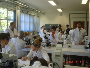 MIP - 2012